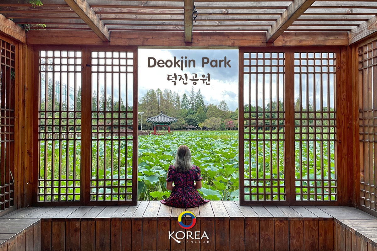 Deokjin Park : 진공원 สวนบัวแห่งเมือง จอนจู