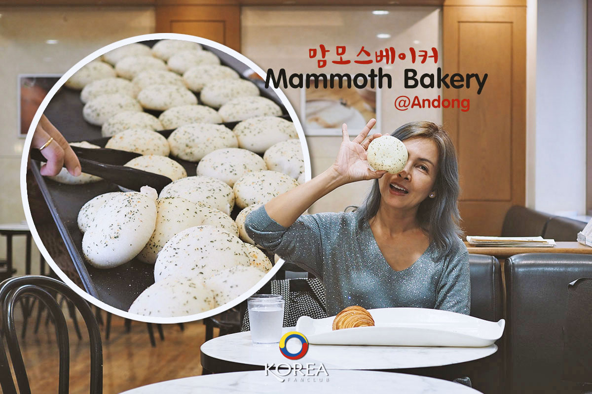 Mammoth Bakery 맘모스베이커리เบเกอรี่ ยอดฮิต เมือง อันดง