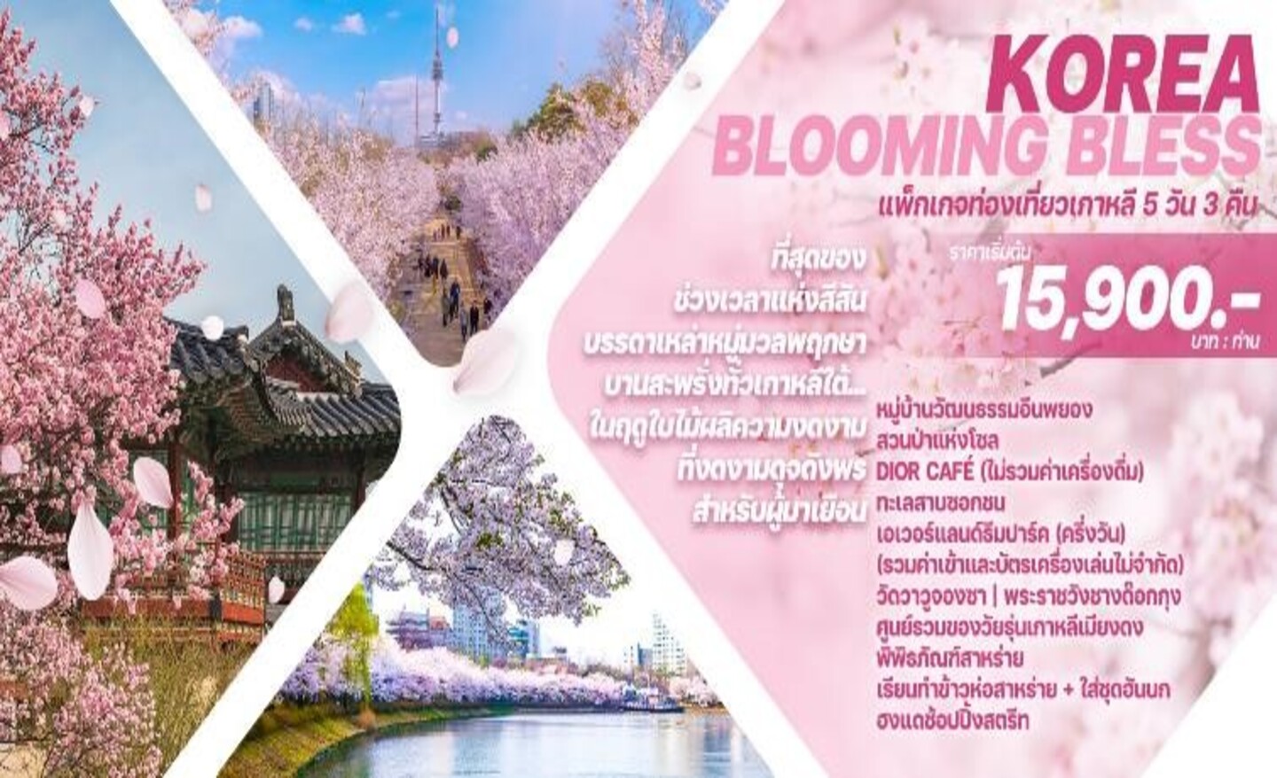 ทัวร์เกาหลี Korea Blooming Bless (มี.ค.-พ.ค.67)