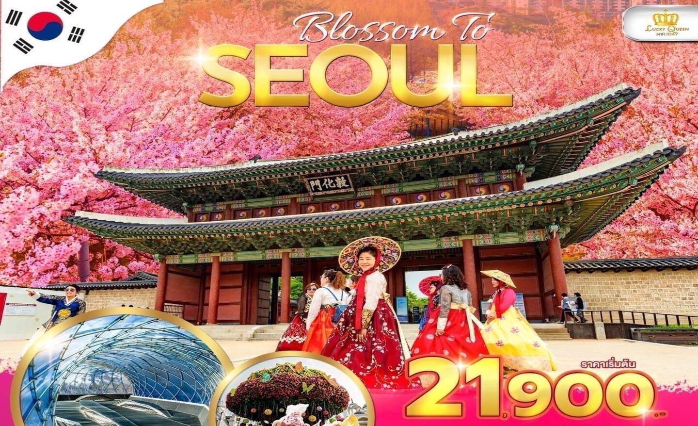 ทัวร์เกาหลี Blossom To Seoul  (เม.ย.67)