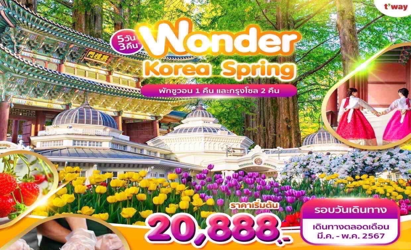 ทัวร์เกาหลี Wonder Spring In Korea (มี.ค.-พ.ค.67)