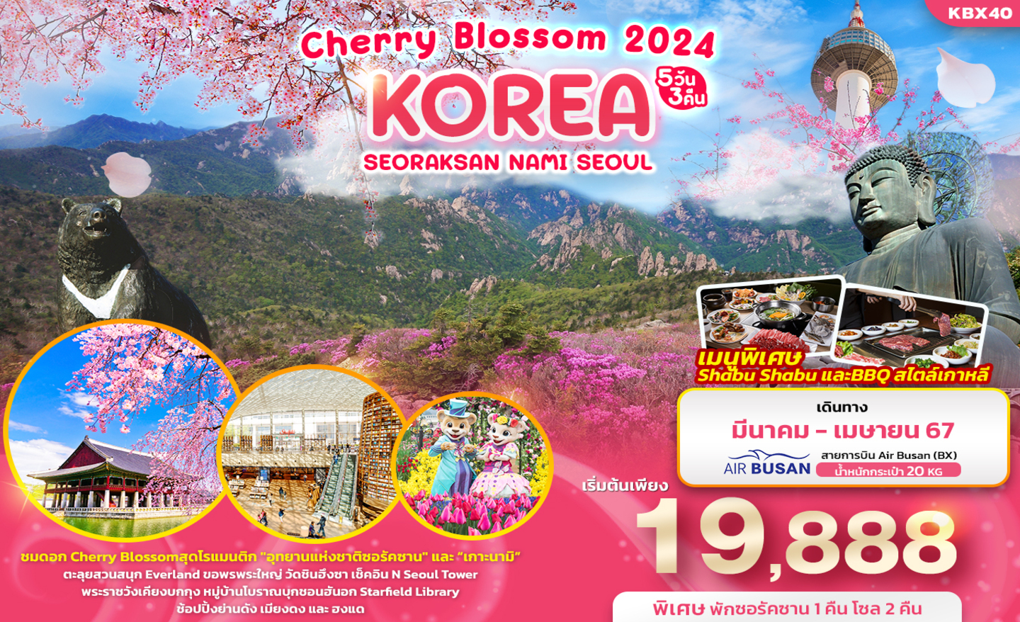 ทัวร์เกาหลี Korea Cherry Blossom 2024 (มี.ค.-เม.ย.67)