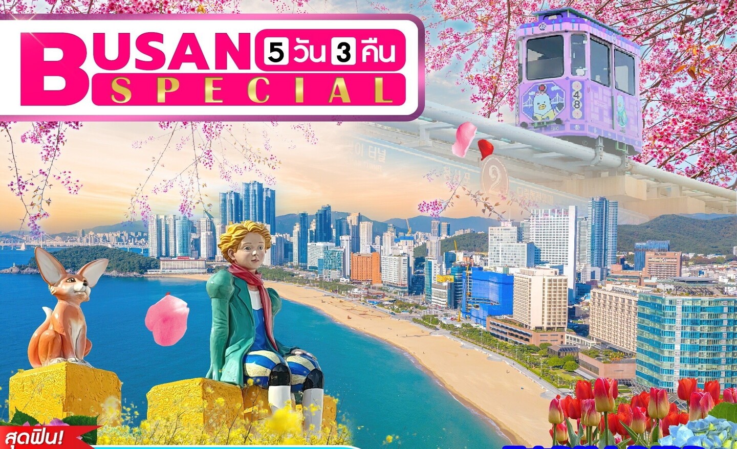 ทัวร์เกาหลี Busan Pohang Special (มี.ค.-มิ.ย.67)