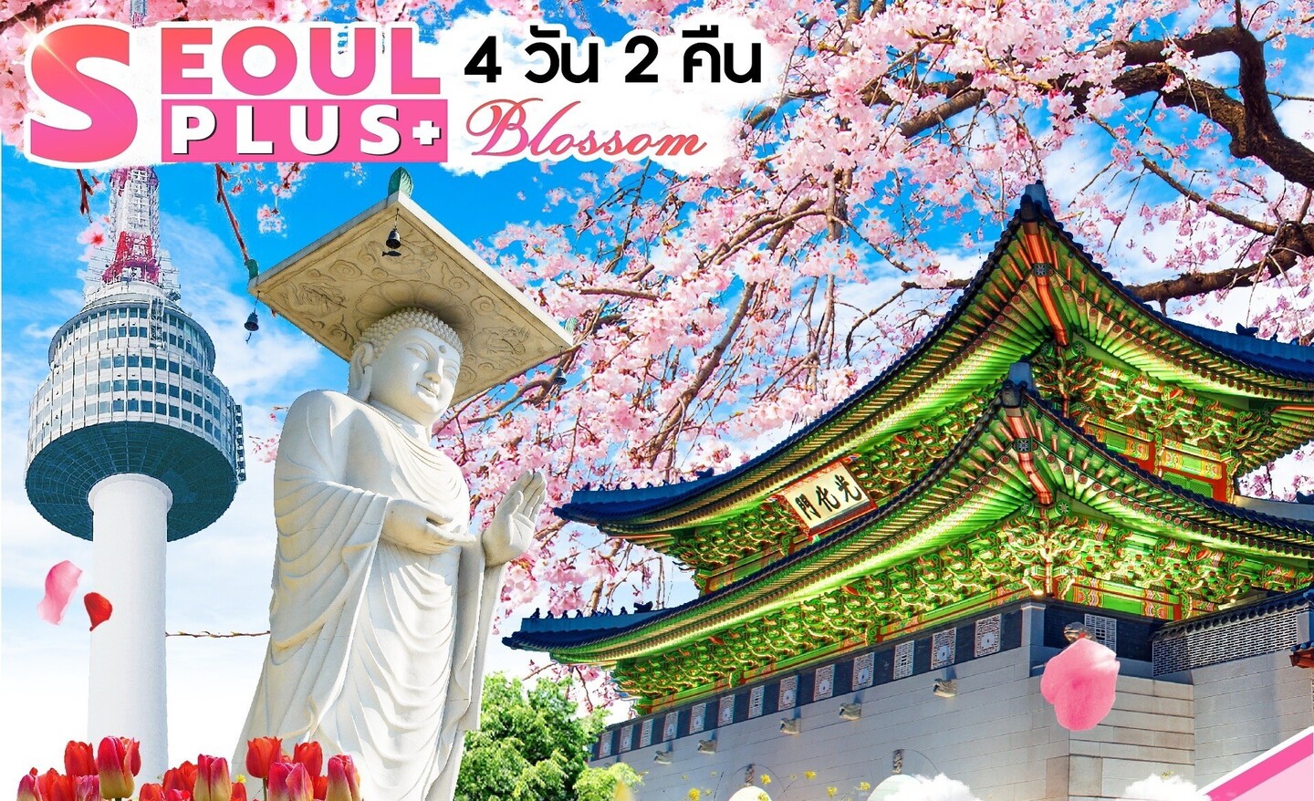ทัวร์เกาหลี Seoul Plus Blossom 4D2N (มี.ค.-มิ.ย.67)