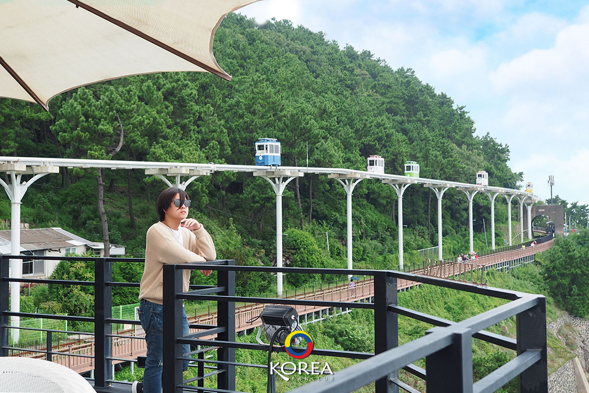 Sky Capsule & Haeundae Beach Train