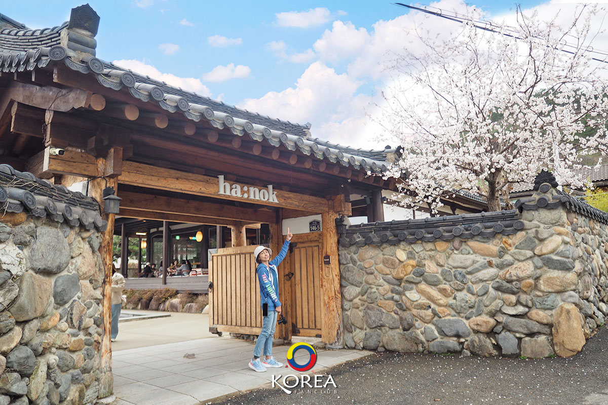 hanok Cafe