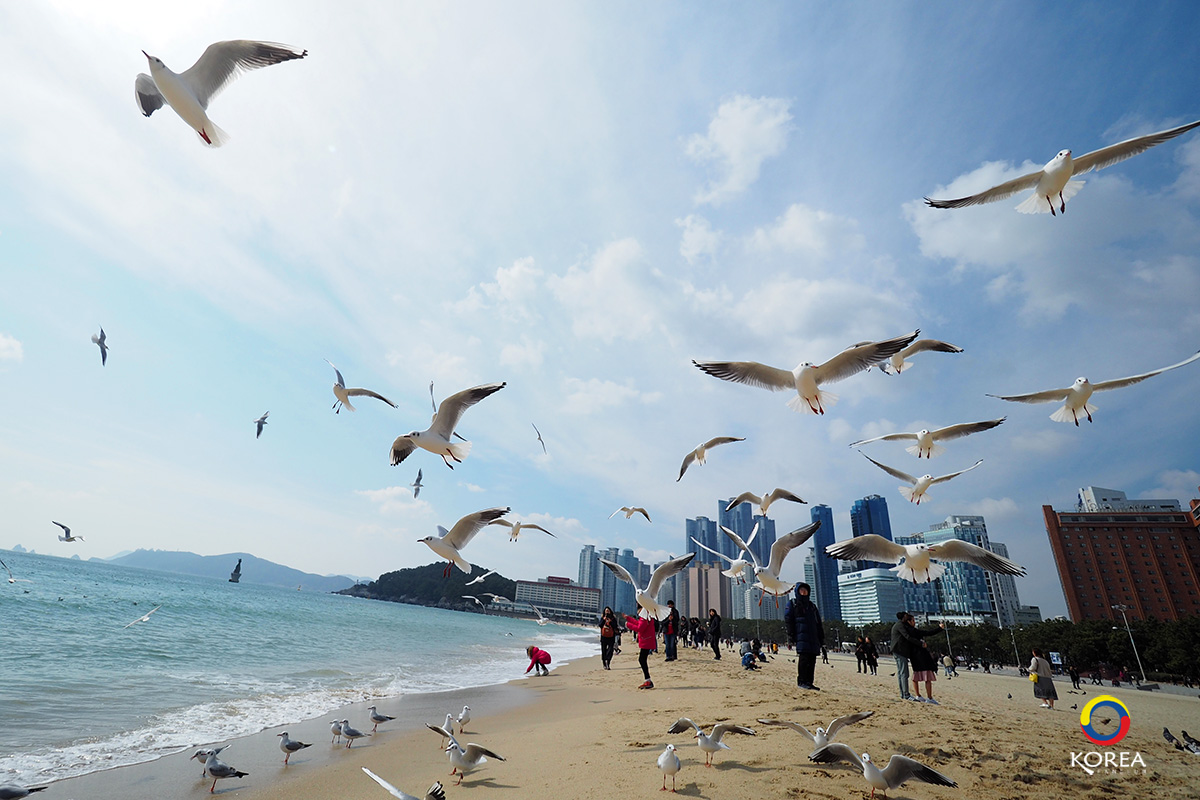 Haeundae Busan
