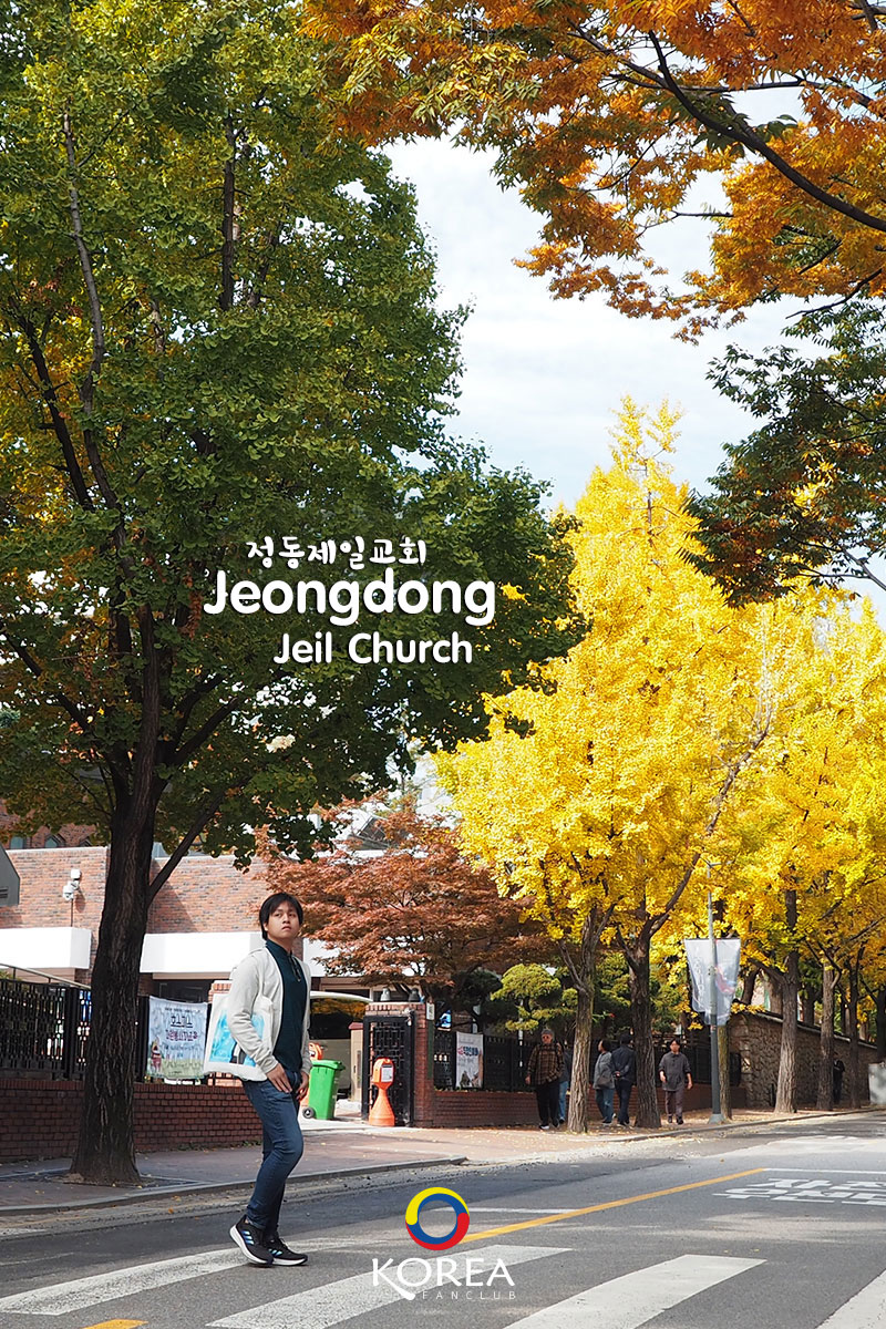 Jeongdong Jeil Church 서울 정동교회 : รีวิว ใบไม้เปลี่ยนสี โซล