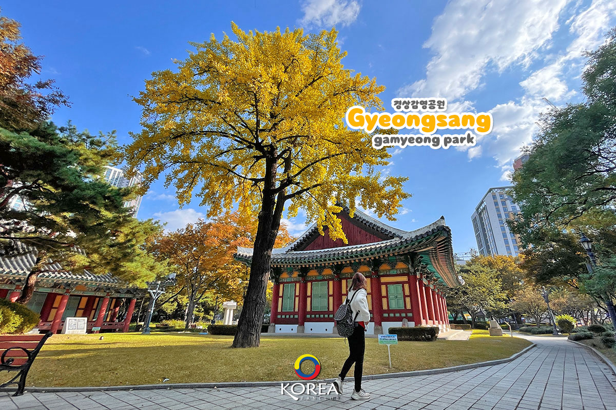 สวนสาธารณะ คยองซัง คัมยอง : Gyeongsang Gamnyeong Park - รีวิว แทกู