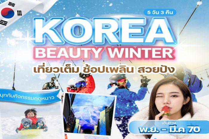 ทัวร์เกาหลี Korea Beauty Winter 5D3N (พ.ย.69-มี.ค.70)