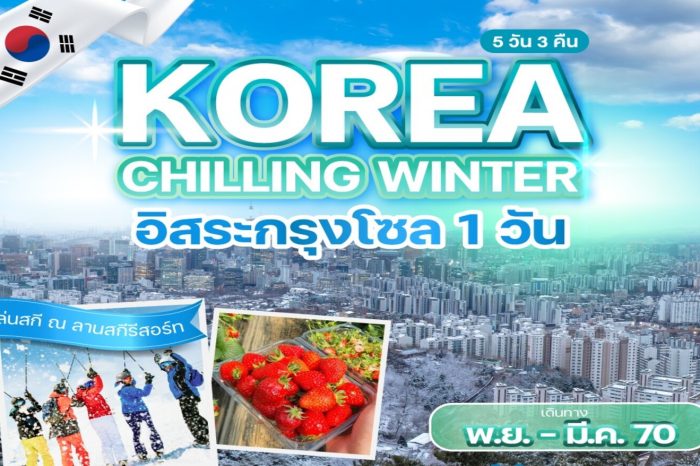 ทัวร์เกาหลี Korea Chilling Winter 5D3N (พ.ย.69-มี.ค.70)