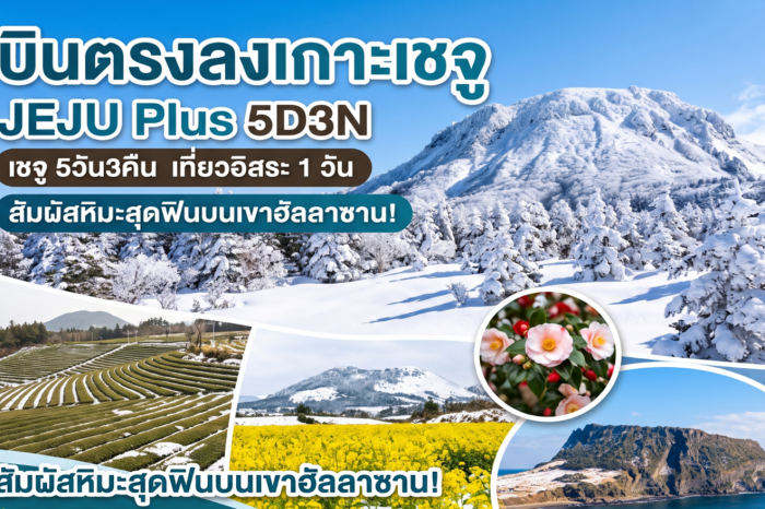 ทัวร์เกาหลี  Jeju Plus Winter 5D3N (ม.ค.-มี.ค.70)