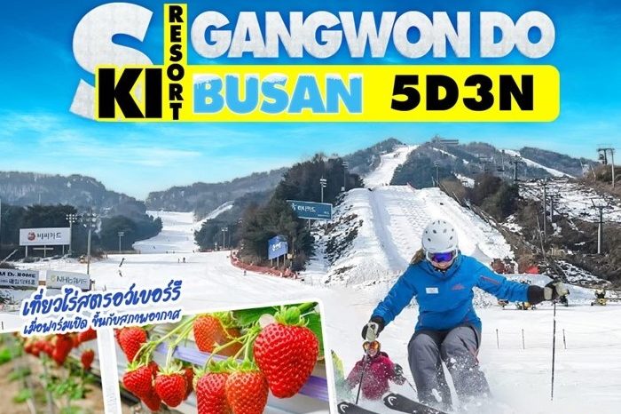 ทัวร์เกาหลี Busan-Ski Gangwondo 5D3N (พ.ย.69-มี.ค.70)