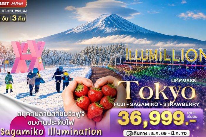 ทัวร์ญี่ปุ่น มหัศจรรย์…Tokyo Fuji Sagamiko Illumination Winter 5D3N (ธ.ค.69-มี.ค.70)
